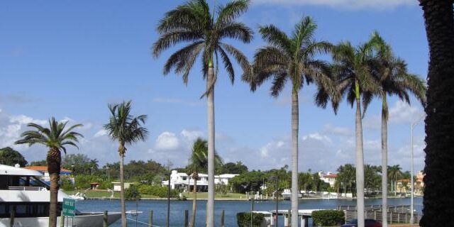 miami beach premiers indices meurtre rav raskin