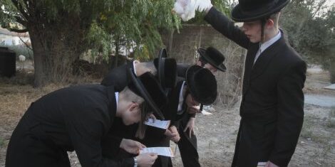 tribunal autorise kapparot volailles