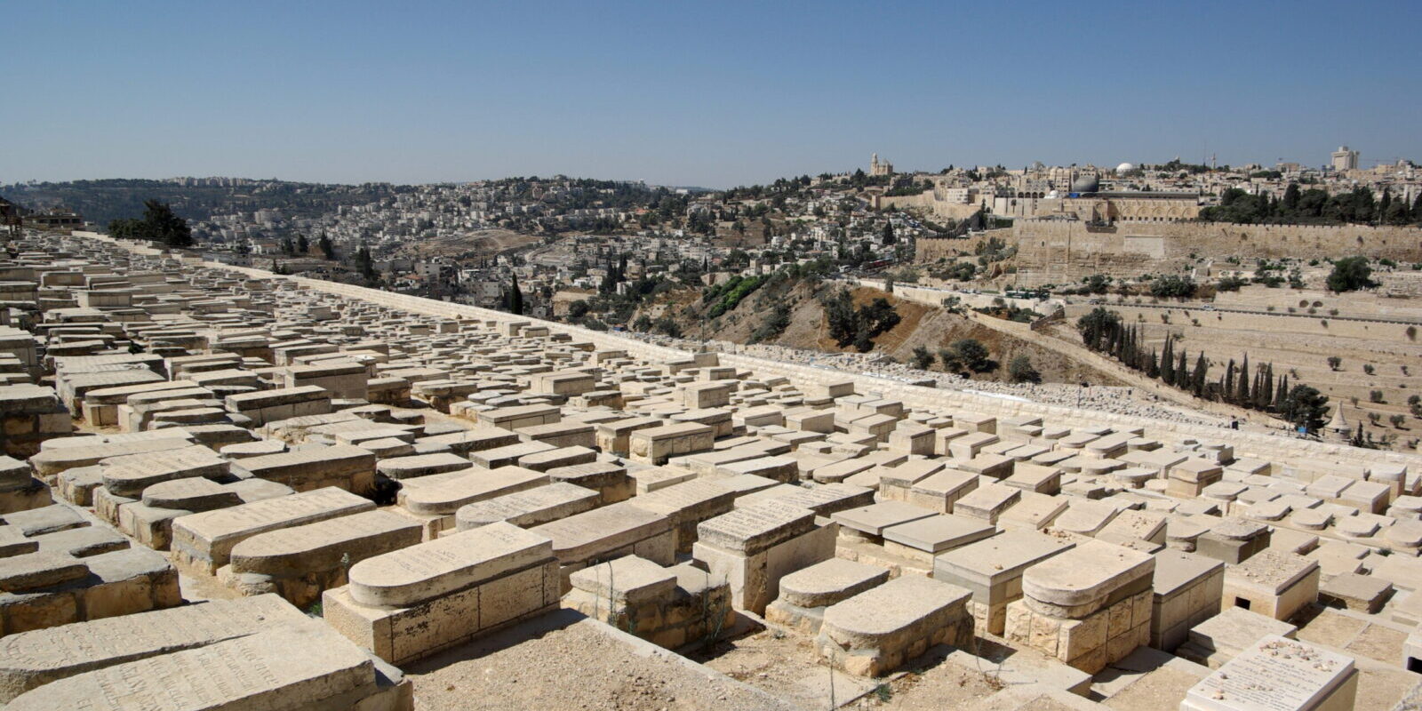 har hazeitim solutions contre actes vandalisme