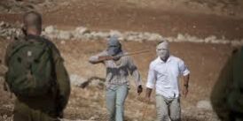 israélien poignardé har hévron