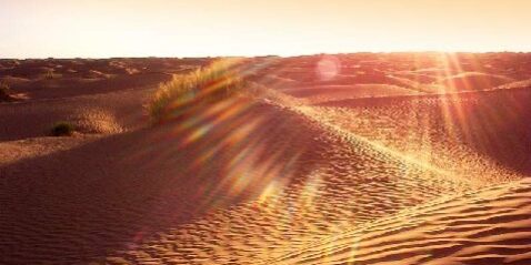 chemot savoir tenir ferme