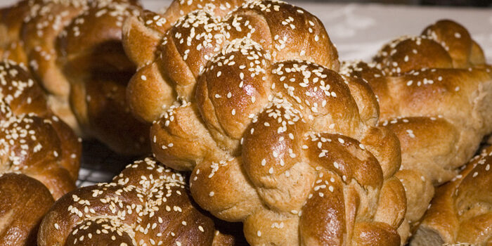 halaha hafrachat hala partie 4