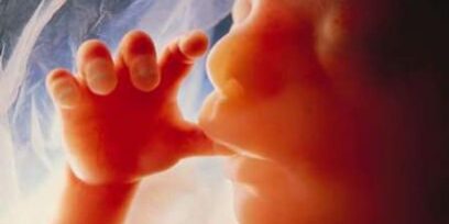 paracha tazri drôle signification