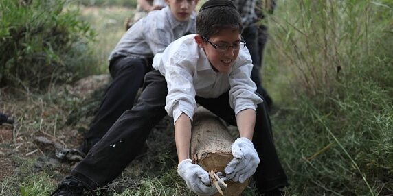 reportage photos préparatifs bûchers vue lag baomer enfants jérusalem