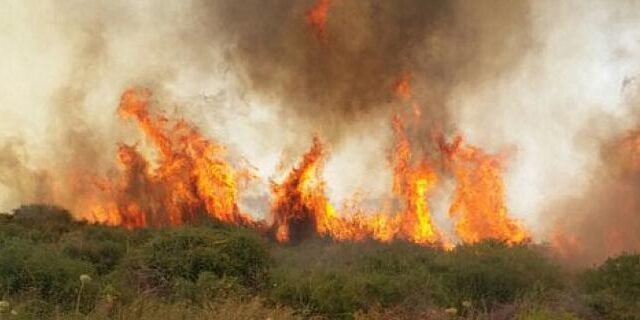 incendie jérusalem synagogue évacuée