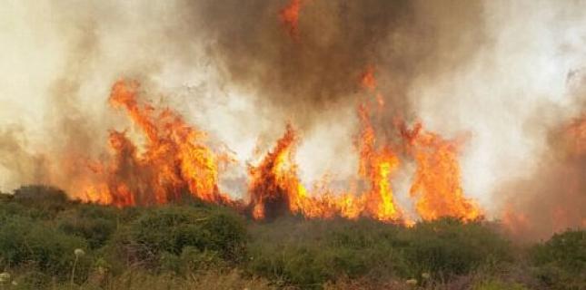 incendie jérusalem synagogue évacuée