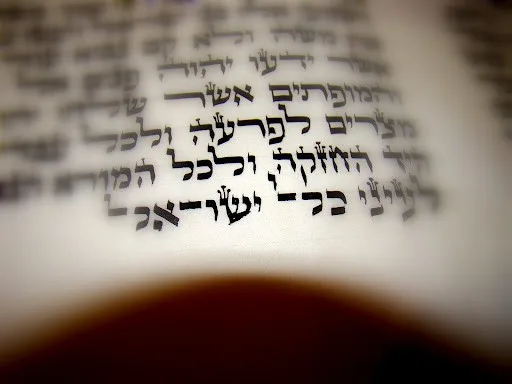 paracha kora h parabole semaine