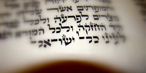 paracha pin has compétences dirigeant