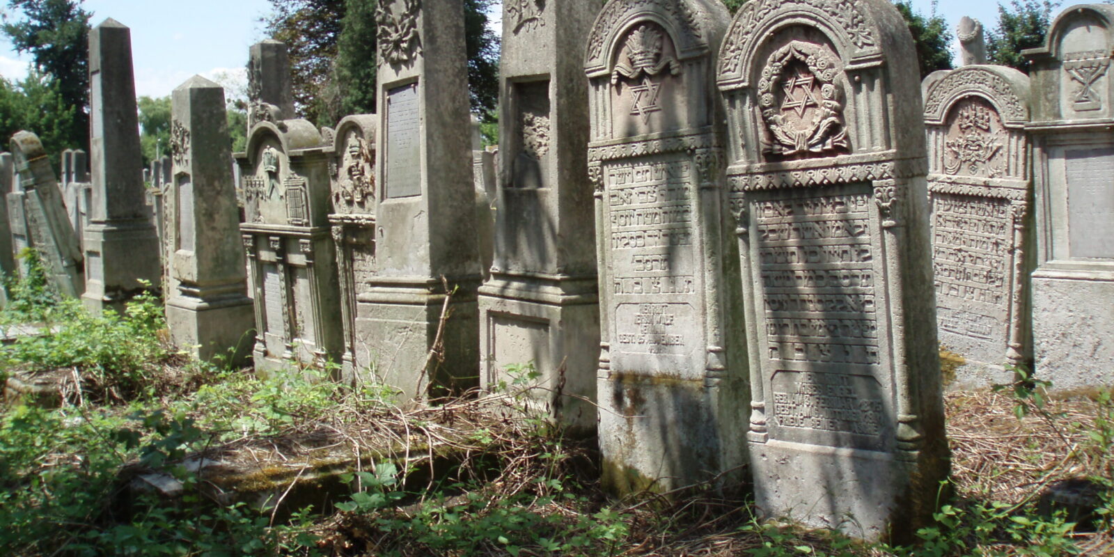 pologne cimetière juif visé vandales