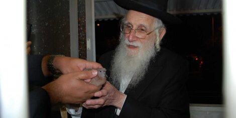 rav auerbach accomplit mitsva chilouah haken