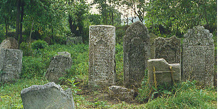 cimetière juif profané pologne
