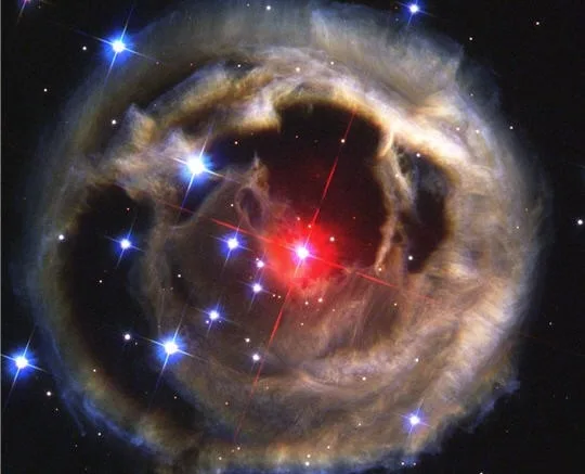 rapport y t entre création homme année