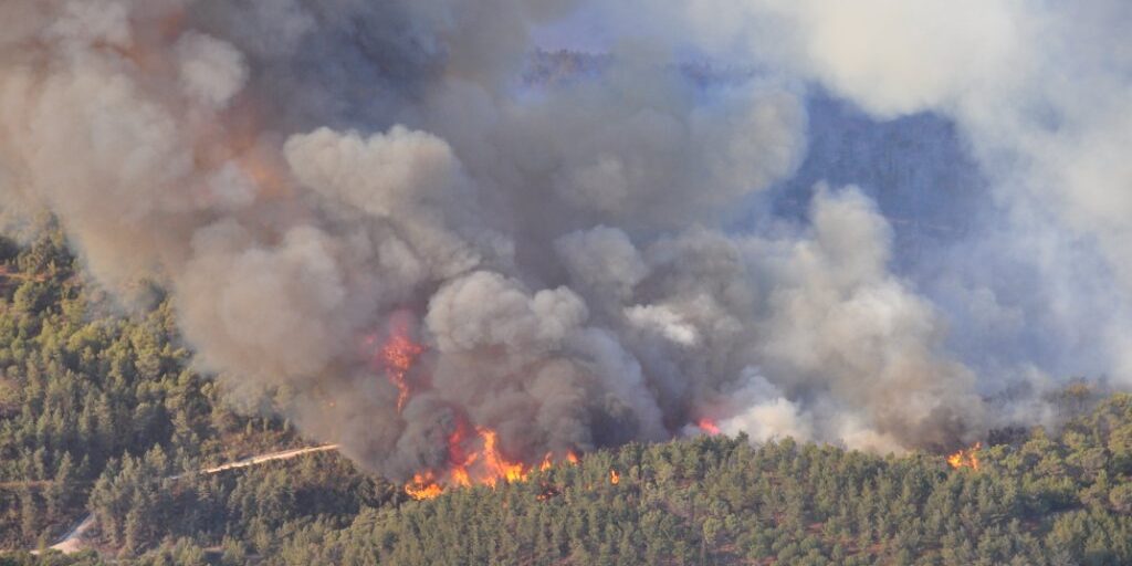 incendie halamish 350 familles évacuées vendredi soir