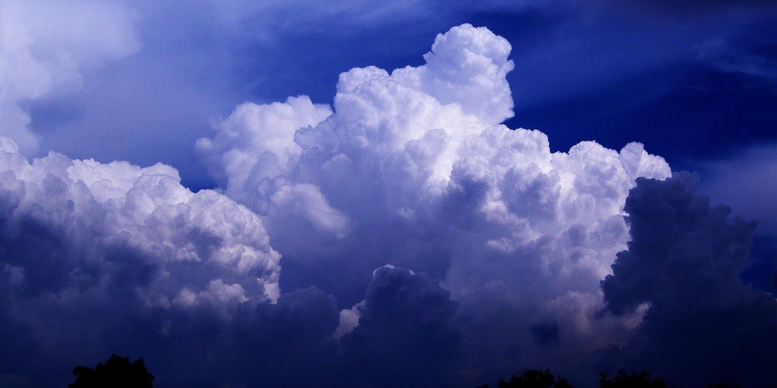 vayechev delà rêves