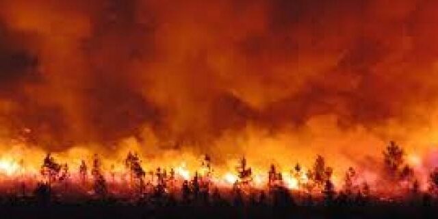 vague incendies première inculpation