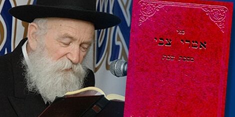 rav gruzman