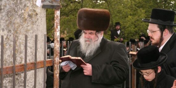 admour belz