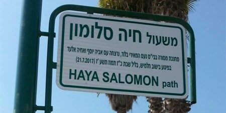 rue Haya salomon