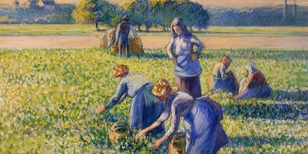 Pissarro_-_La_cueillette_des_pois