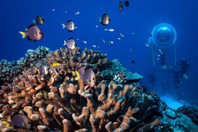 ON_A_DORMI_SOUS_LA_MER